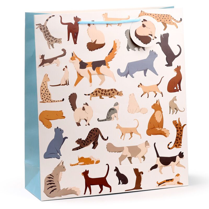 Load image into Gallery viewer, Feline fine katten - cadeautasje xl
