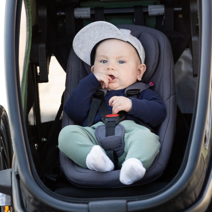 Load image into Gallery viewer, Hamax baby insert (outback avenida traveller)
