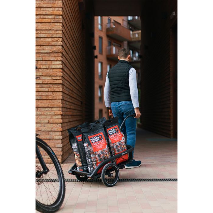 Load image into Gallery viewer, Hamax venture - black
