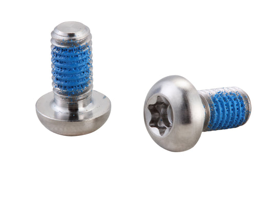 Remschijfboutjes Elvedes M5 × 11 RVS (10 stuks)