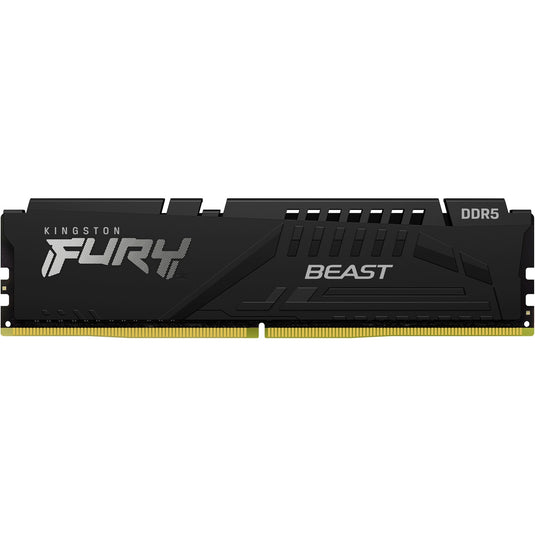 Intern geheugen kingston fury beast