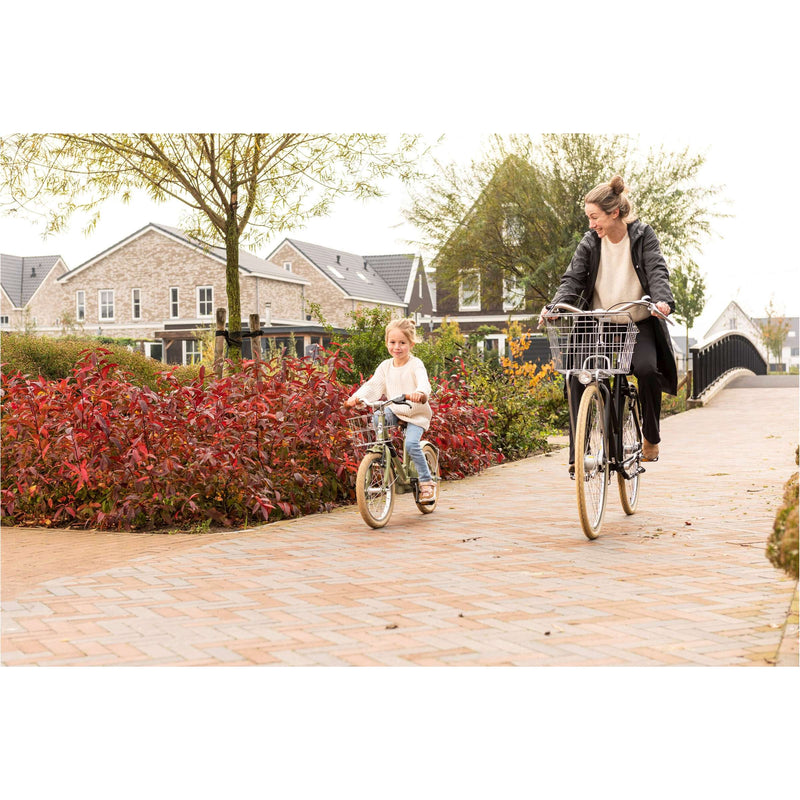 Load image into Gallery viewer, Steco draadmand vintage staal chroom
