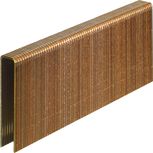 Senco n-nieten 38mm galva ted (10000st)