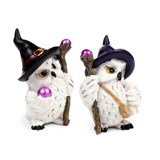 Wise old magical owl op magische reis