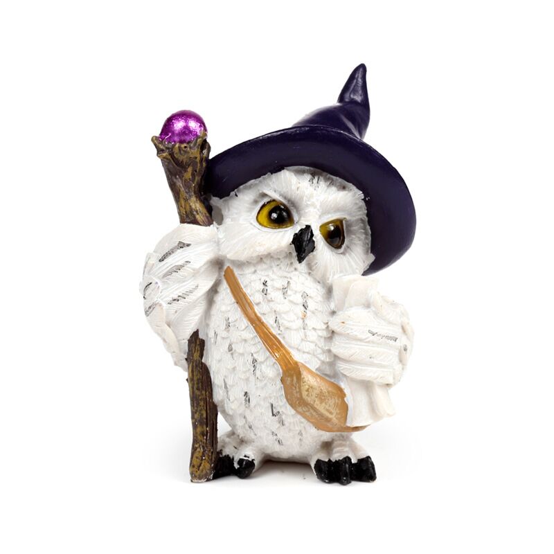 Load image into Gallery viewer, Wise old magical owl op magische reis
