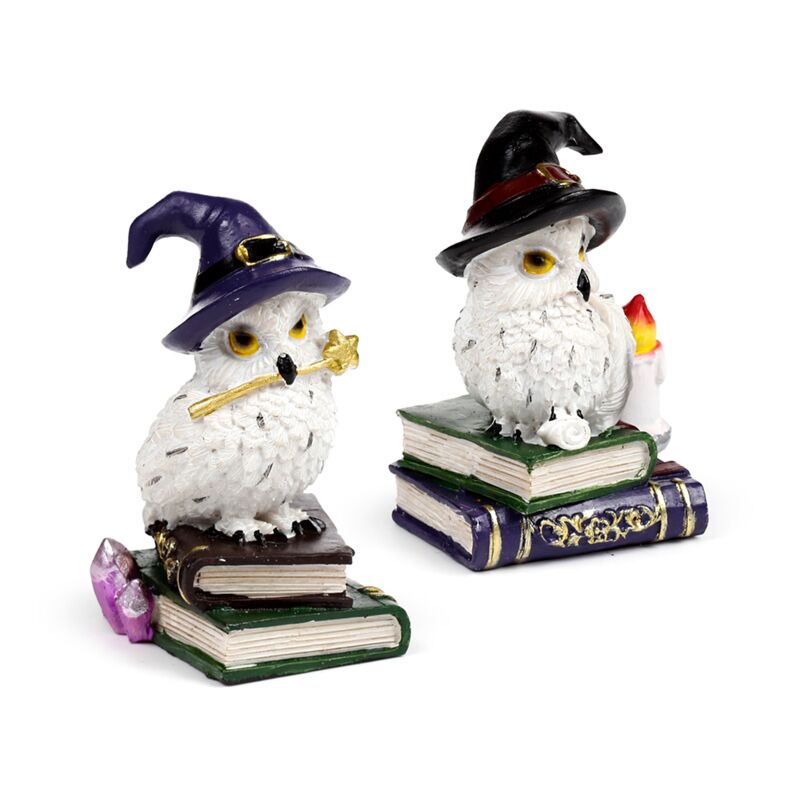 Load image into Gallery viewer, Wise old magical owl op spreukenboek
