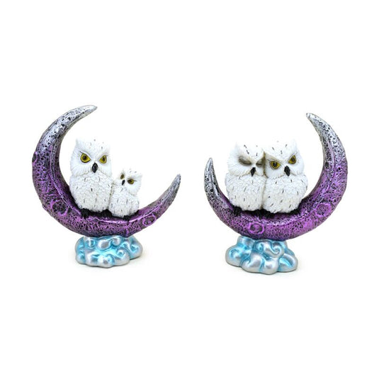 Wise old magical owl halve maan