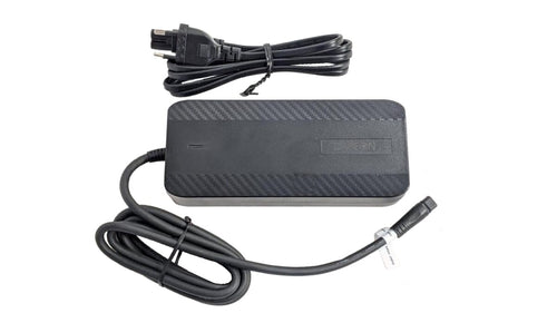 Darfon LADER 2A Geintegreerde DT Accu STEPS Type G