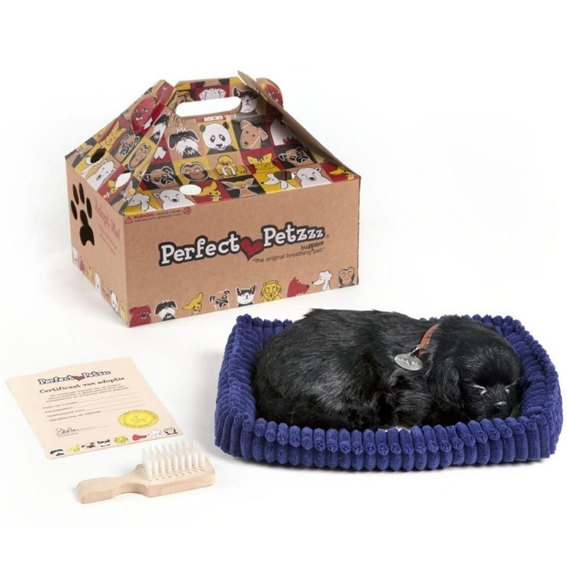 Load image into Gallery viewer, Perfect petzzz soft black labrador (96323)
