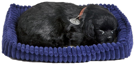 Perfect petzzz soft black labrador (96323)