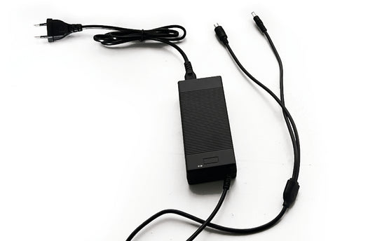 Pro-mounts dual lader 42 volt lader voor 36v step