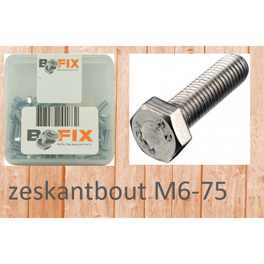 Bofix zeskantbout m6x75 (25st)
