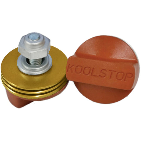 Koolstop remblokset International goud zalm