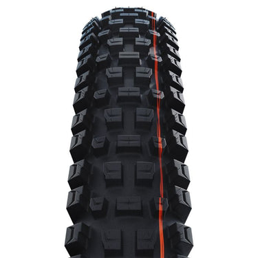 Schwalbe vouwband albert evo trail pro 63-622 tlr zwart