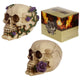 Schedel beenderen met paarse rozen woonaccessoire