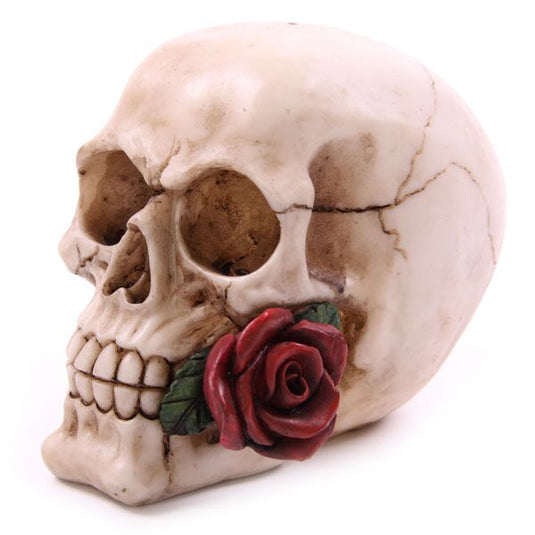 Schedel met rozen woonaccessoire