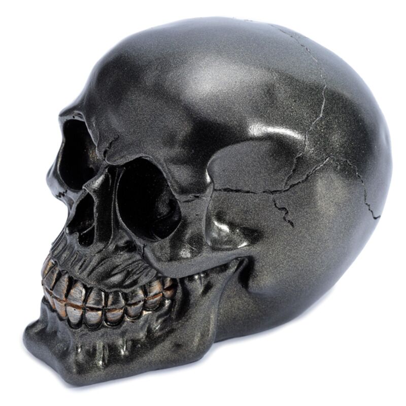 Load image into Gallery viewer, Metallic zwarte schedel woonaccessoire

