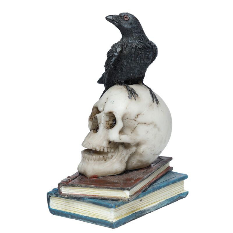 Load image into Gallery viewer, Kraai op schedels boeken woonaccessoire
