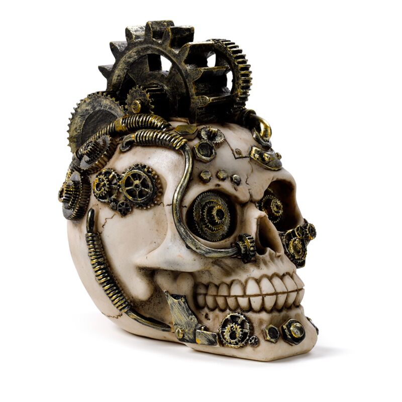 Load image into Gallery viewer, Steampunk stijl schedel met tandwielen en veren woonaccessoire
