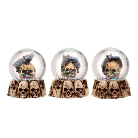 Schedel sneeuwbol met dieren woonaccessoire