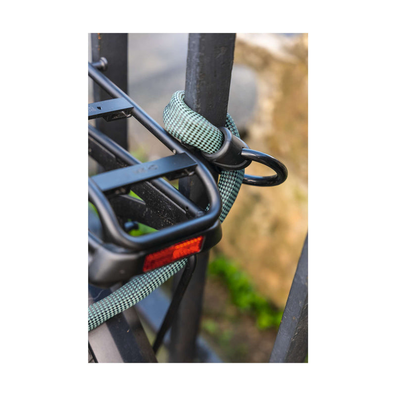 Load image into Gallery viewer, Abus fietsslot kettingslot - infinity loop 1806 - security level 6 - groen - 140 cm - geschikt voor elektrische fietsen en stadsfietsen
