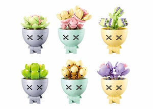 Sluban potted plants succulant (m38-b1076) display