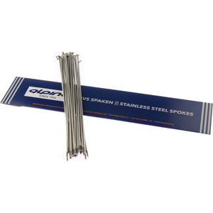 Alpina Spaken 13G (2,34mm) 305mm RVS (P36)