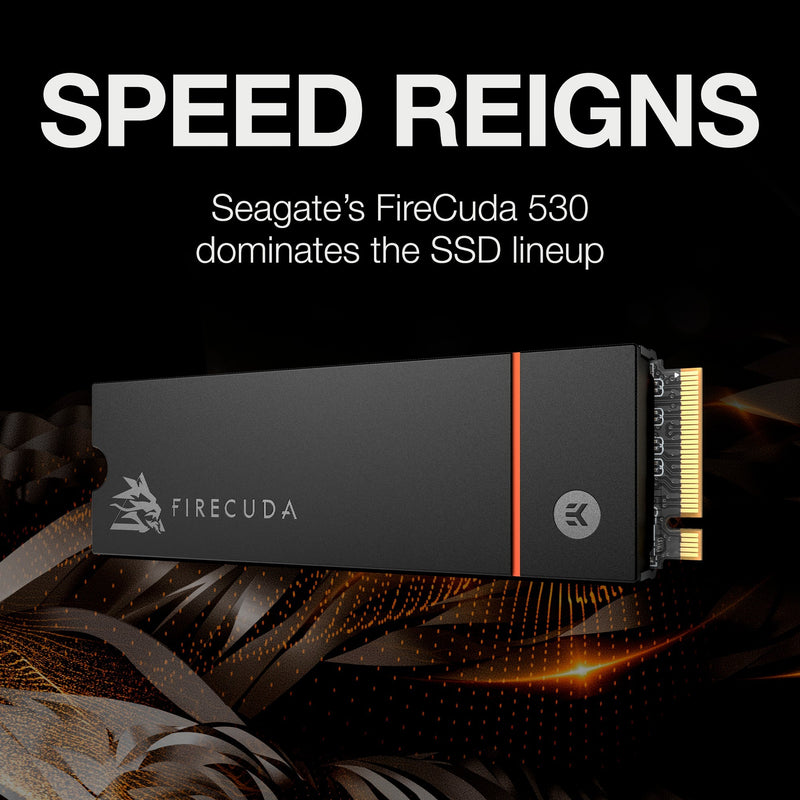 Load image into Gallery viewer, Seagate FireCuda 530 500 GB met heatsink
