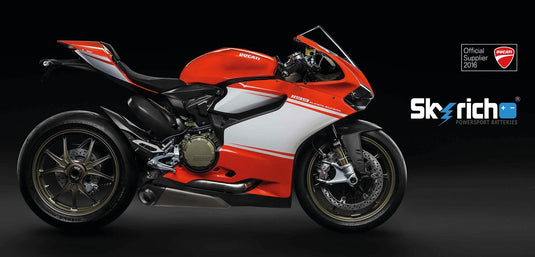 Skyrich lifepo4 batterij hjtz10s-fp battery hjtz10s-fp-i lithium