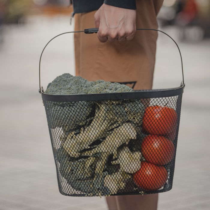 Load image into Gallery viewer, Topeak urban basket front
