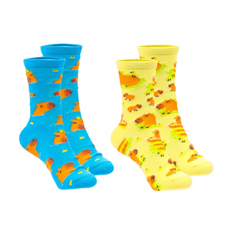 Load image into Gallery viewer, Capybara sokken in een tube
