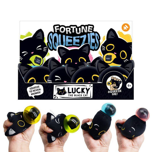 Queasy squeezies magic fortune teller lucky de zwarte kat knijp speelgoed