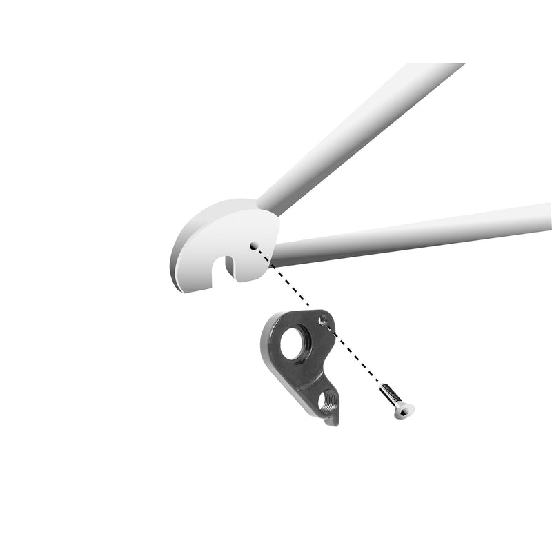 Load image into Gallery viewer, Union schaltauge derailleur hangers gh-314 screws included
