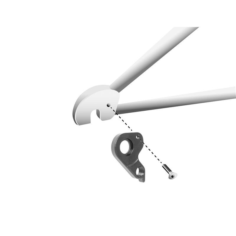 Load image into Gallery viewer, Union schaltauge derailleur hangers gh-315 screws included
