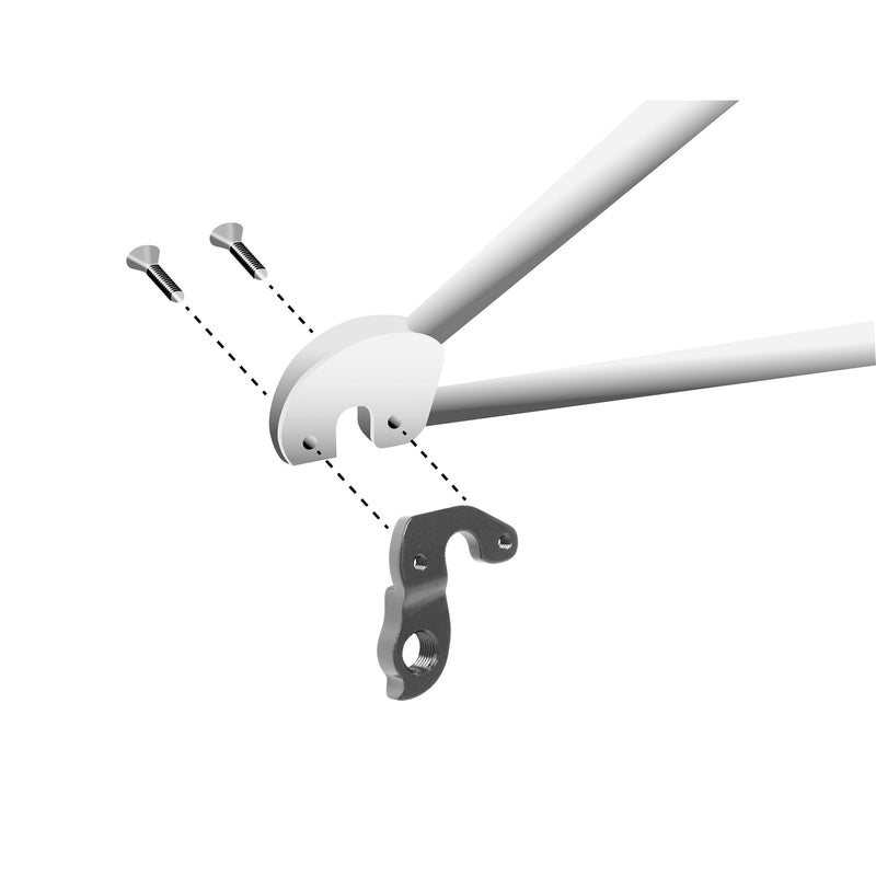 Load image into Gallery viewer, Union schaltauge derailleur hangers gh-318 screws included
