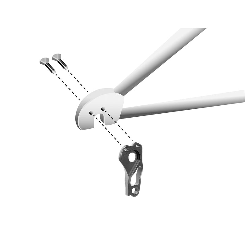 Load image into Gallery viewer, Union schaltauge derailleur hangers gh-323 screws included
