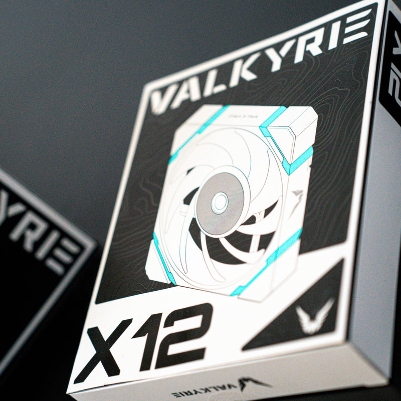 Load image into Gallery viewer, Valkyrie valkyrie x12 argb black
