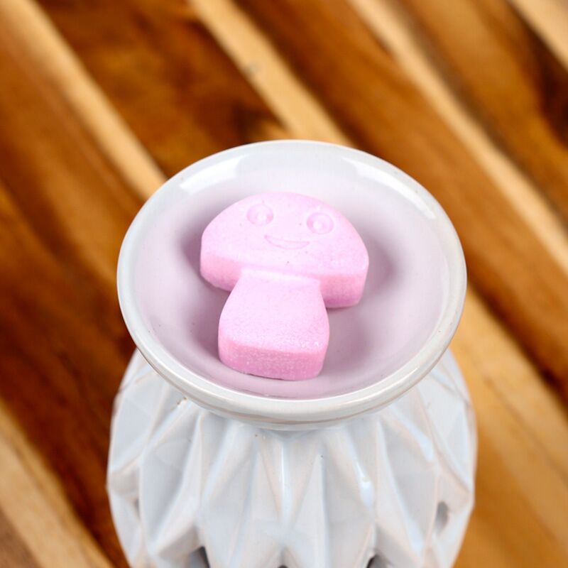 Load image into Gallery viewer, Ylang ylang set van 6 waxmelts
