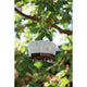Diverse Windhager Wespenval buiten
