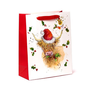 Jan pashley kerstmis highland coo cadeautasje l