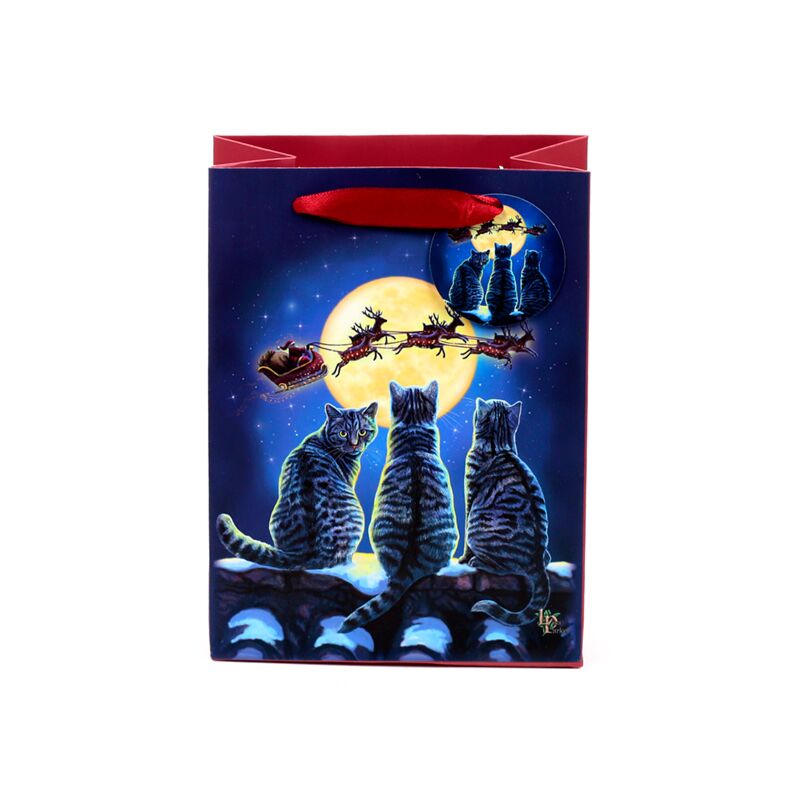 Load image into Gallery viewer, Lisa parker kerstmis katten - cadeautasje medium
