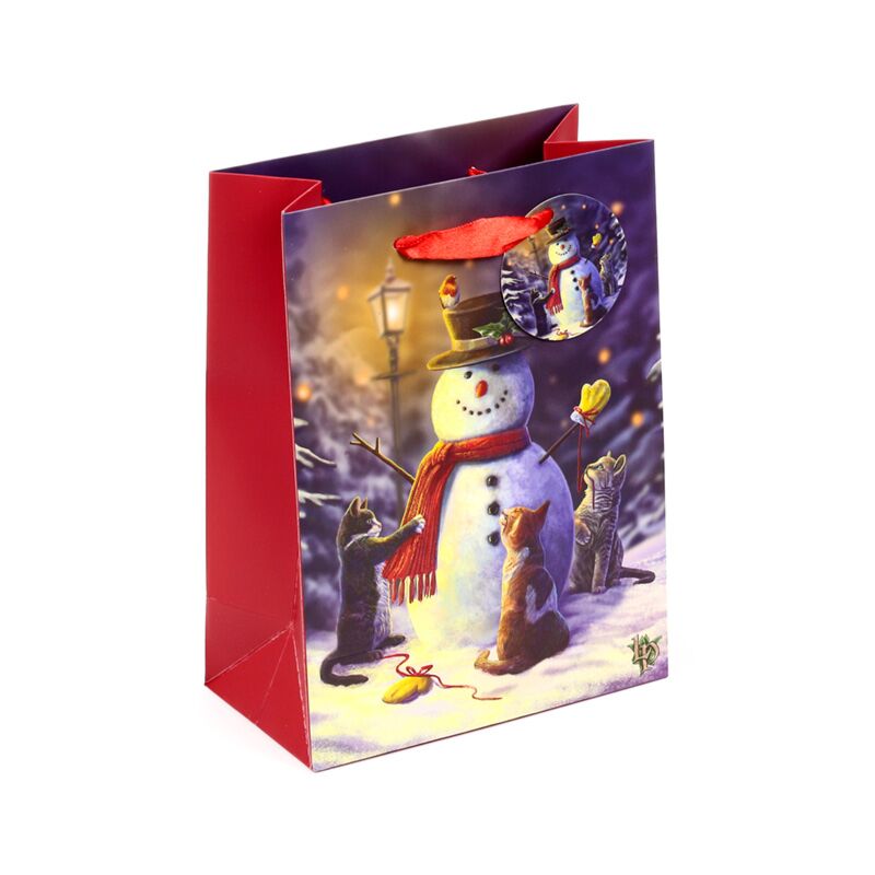 Load image into Gallery viewer, Lisa parker kerstmis katten - cadeautasje medium
