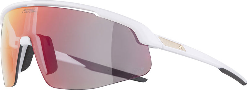 Load image into Gallery viewer, Alpina turbo pro qv - sports glasses
