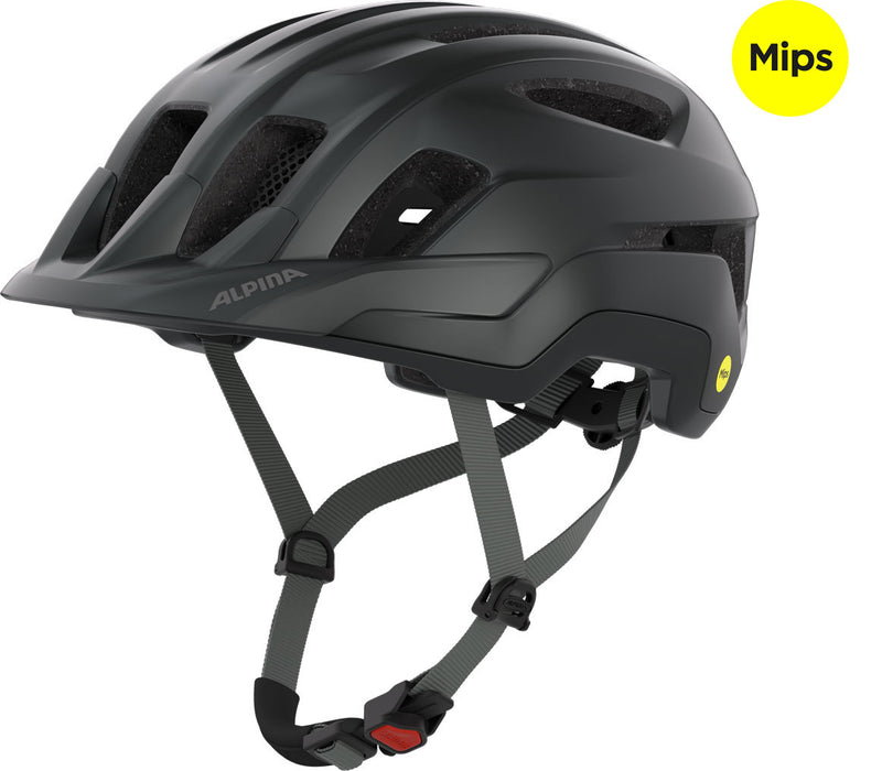 Load image into Gallery viewer, Alpina sports tour helm paranus mips 55-59 mat zwart
