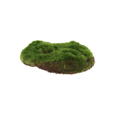 Esschert design kunstmos s 15x13cm