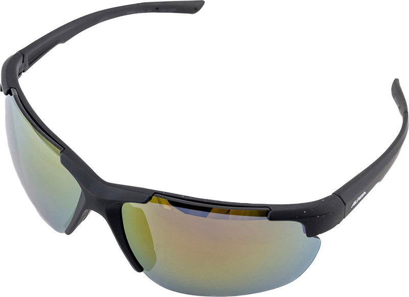 Load image into Gallery viewer, Alpina defey hr - sports glasses
