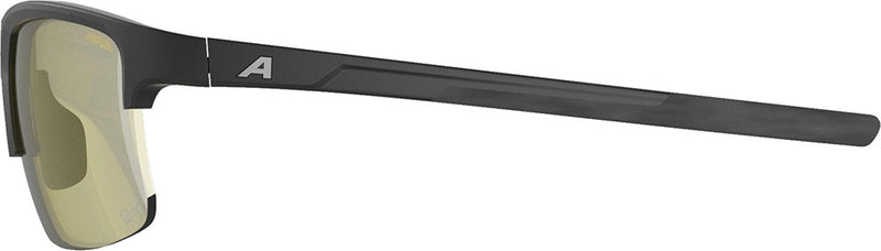 Load image into Gallery viewer, Alpina eagle q-lite - sports glasses
