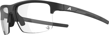 Alpina eagle v - sports glasses