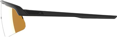 Alpina turbo pro s q - sports glasses
