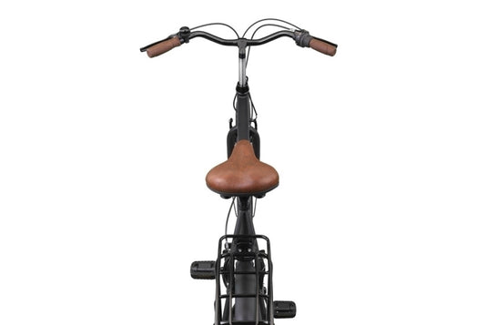 Altec marquant 28 inch 50 cm dames 3v v-brakes matzwart